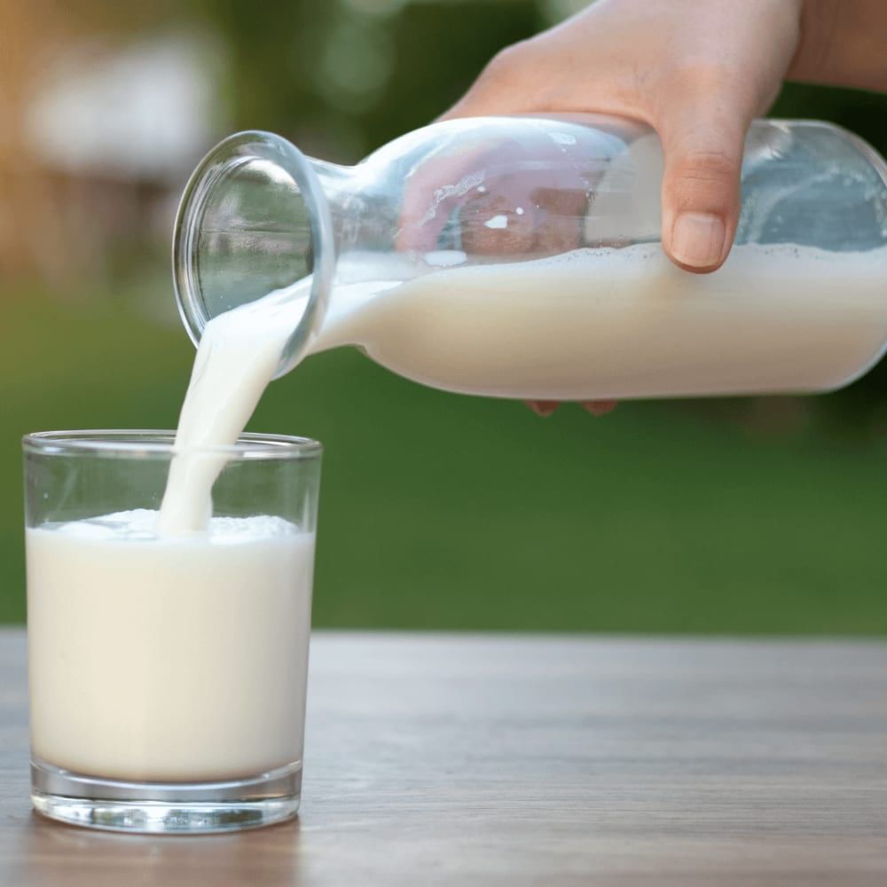 what-it-is-snf-in-milk-how-to-increase-snf-in-milk